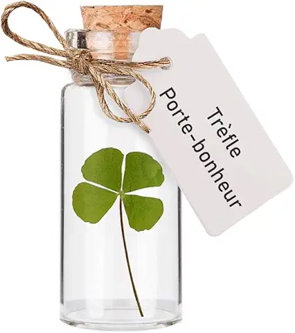 trefle porte bonheur